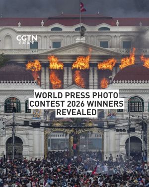 Image post by @cgtneurope on Instagram