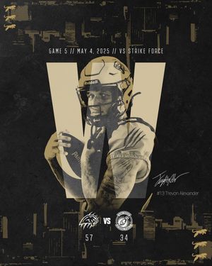 Image post by @panthersifl on Instagram