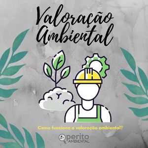 Image post by @operitoambiental on Instagram