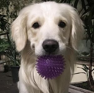 Image post by @mikethewhitegolden on Instagram