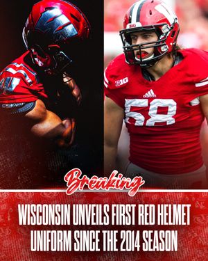 Image post by @rollbadgers on Instagram