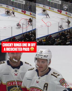 Image post by @flapanthers on Instagram