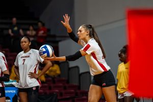 Image post by @badgervb on Instagram