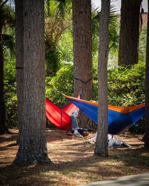Image post by @fsuartssciences on Instagram