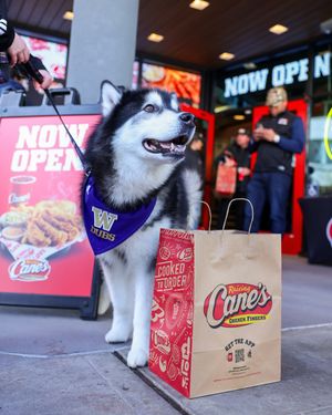 Image post by @uwathletics on Instagram