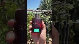 Video post by @drsquatch on YouTube