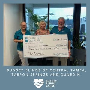Image post by @budget_blinds_official on Instagram
