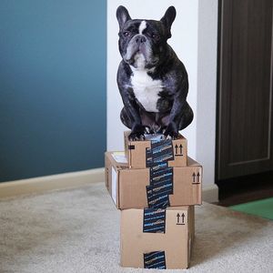 Image post by @amazon on Instagram