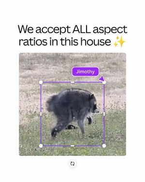 Video post by @canva on TikTok