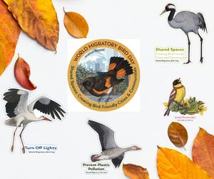 Image post by @bhamzoo on Instagram