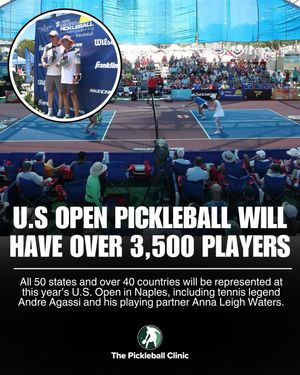 Image post by @thepickleballclinic on Instagram
