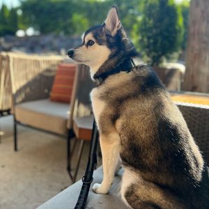Image post by @theironhorsehotel on Instagram