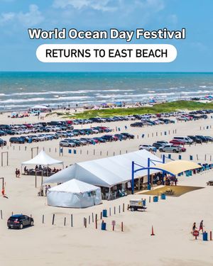 Image post by @galvestonisland on Instagram