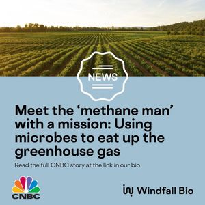 Image post by @windfall.bio on Instagram