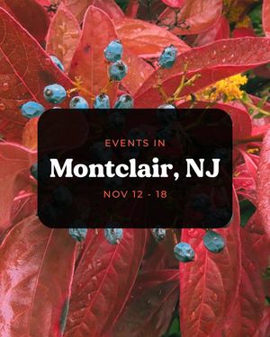 Image post by @experiencemontclair on Instagram