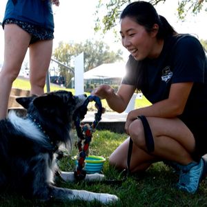 Image post by @purina on Instagram