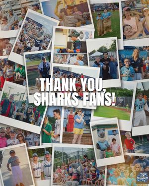 Image post by @ilmsharks on Instagram