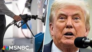 Video post by @msnbc on YouTube
