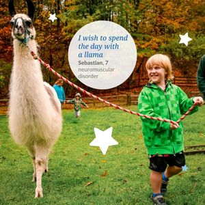 Image post by @MakeAWish on Twitter