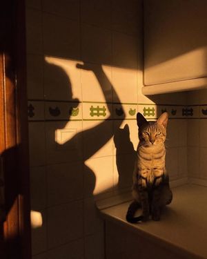 Image post by @fubiz on Instagram