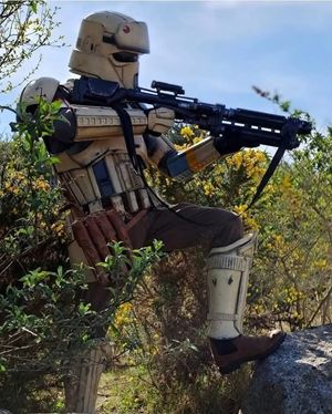 Image post by @official501st on Instagram