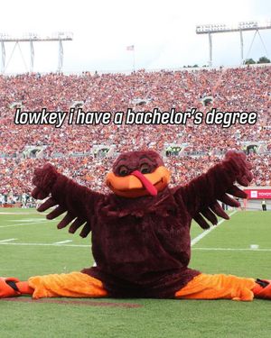 Image post by @virginia.tech on Instagram