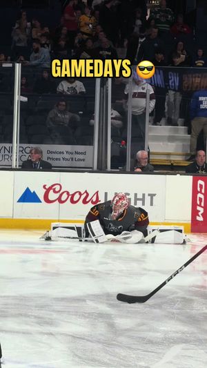 Video post by @chiwolves on TikTok