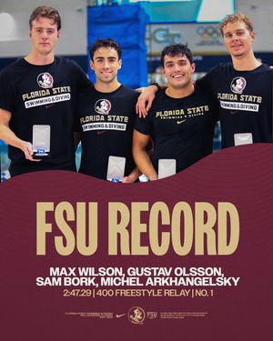 Image post by @fsuswimdive on Instagram