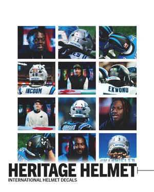 Image post by @panthers on Instagram