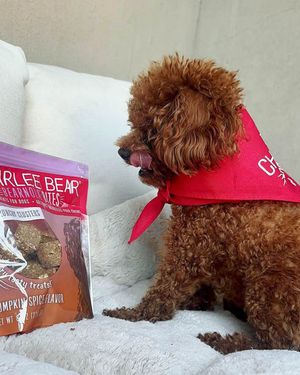 Image post by @charlee_bear_dogtreats on Instagram