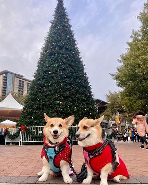 Image post by @shopsatlegacyeast on Instagram