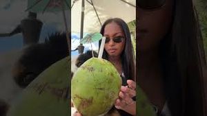 Video post by @lizaotovo on YouTube