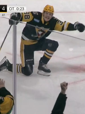 Video post by @flohockeytv on TikTok