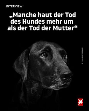 Video post by @stern_de on TikTok