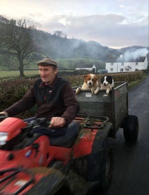 Image post by @fubiz on Instagram