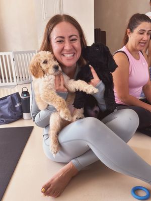 Image post by @solidgoldpets on Instagram