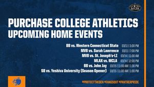 Image post by @purchasecollegeathletics on Instagram