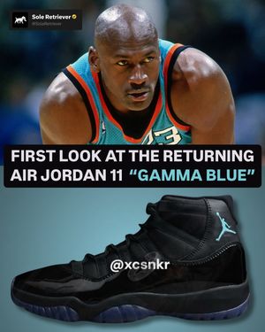 Image post by @soleretriever on Instagram