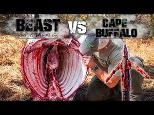Video post by @BowmarBowhunting on YouTube