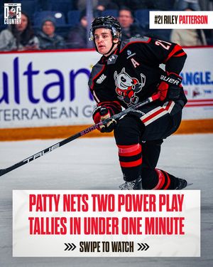 Image post by @ohlicedogs on Instagram