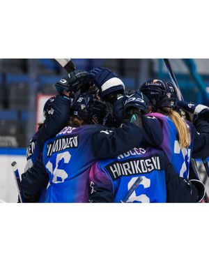 Image post by @leijonatfi on Instagram