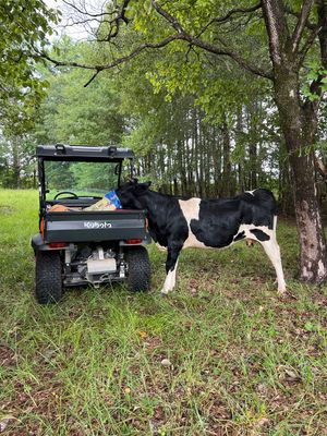 Image post by @kubotausa on Instagram