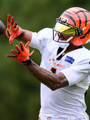 Image post by @bengals on Instagram