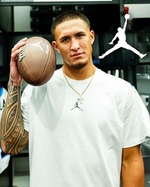 Image post by @nicekicks on Twitter