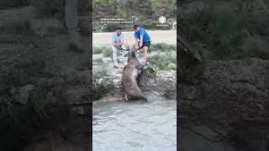 Video post by @accuweather on YouTube
