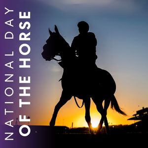 Image post by @BreedersCup on Twitter