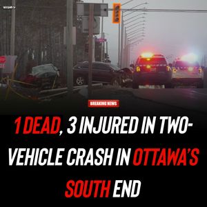 Image post by @shottawa.tv on Instagram
