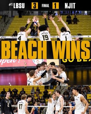 Image post by @lbsumvb on Instagram