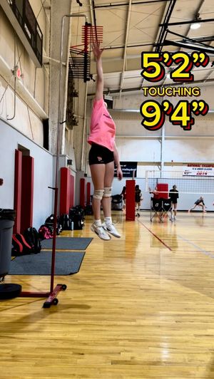 Video post by @PLAvolleyball on Facebook
