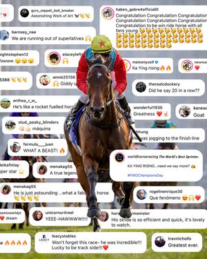Image post by @worldhorseracing on Instagram